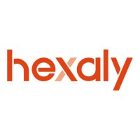 LocalSolver Cloud logo