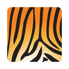 Asset Tiger logo